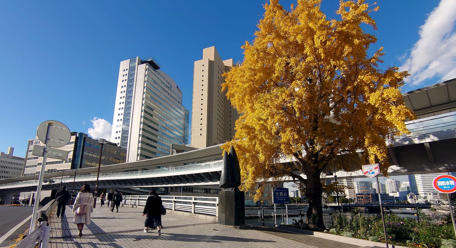 秋の弁天橋